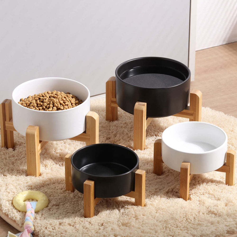 Petygooing ceramic dog bowl and bamboo stand styled in a home setting.