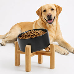 Petygooing ceramic dog bowl shown from the front with its raised stand.