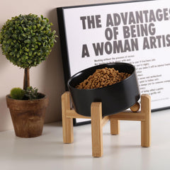 Petygooing ceramic dog bowl presented as a dish for serving water.
