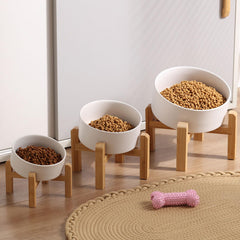 Petygooing ceramic pet bowl shown set up for a pet's mealtime.