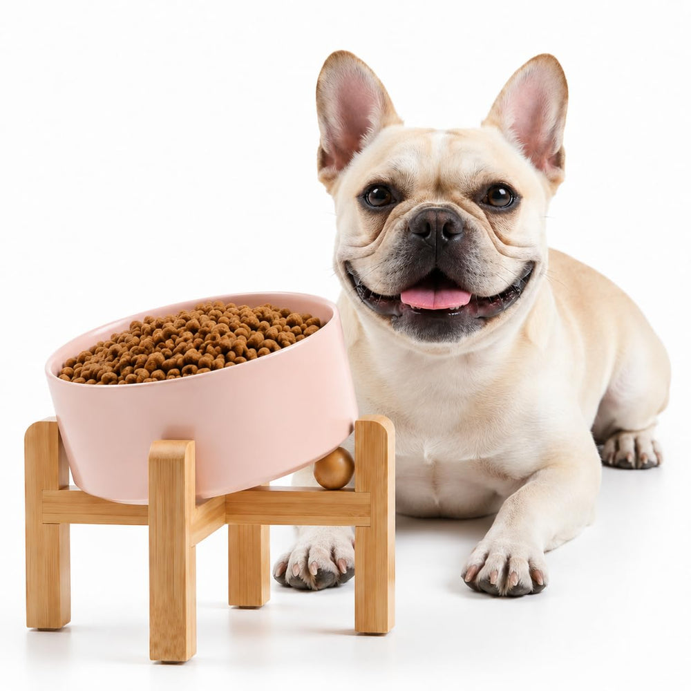 Petygooing ceramic pet bowl shown from the front with its bamboo stand.