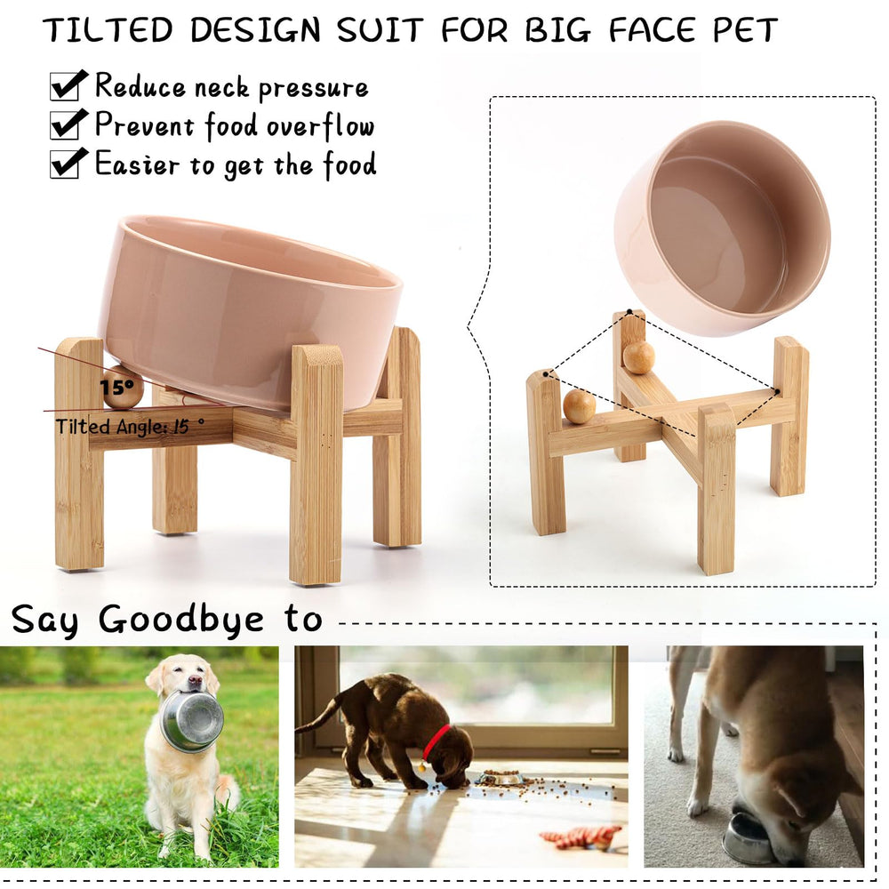 Petygooing ceramic pet bowl set up for a small pet’s mealtime.