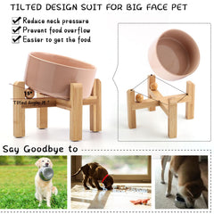 Petygooing ceramic pet bowl set up for a small pet’s mealtime.