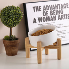 Petygooing ceramic pet bowl shown with its white finish and raised stand.