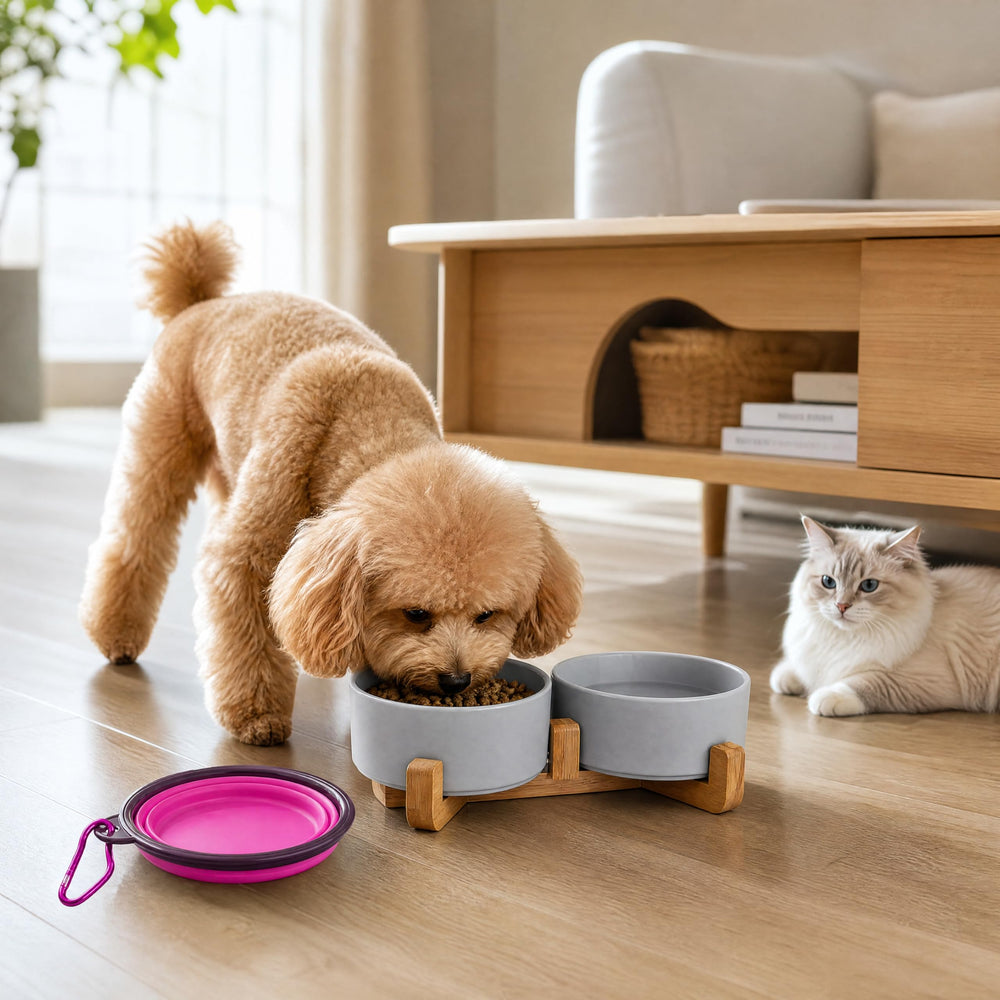 Petygooing grey ceramic pet bowl set shown from a side angle.