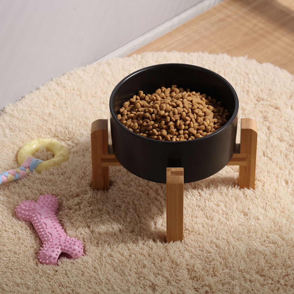 Petygooing raised dog bowl shown during a pet's mealtime.