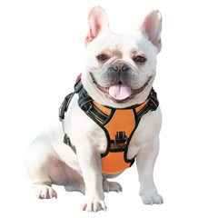 PHOEPET dog harness with the back handle in focus.