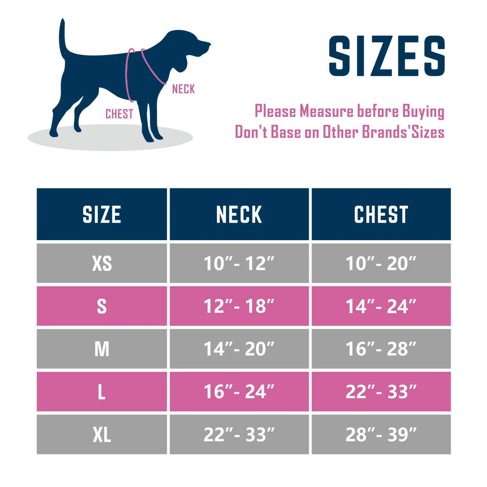 PHOEPET dog harness back leash hook shown in detail.
