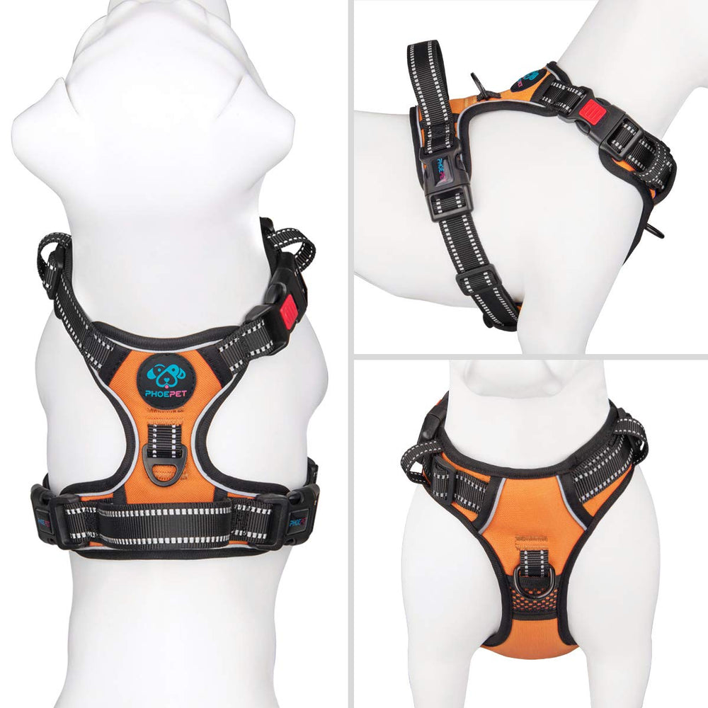 PHOEPET dog harness shown from the back.