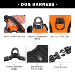 PHOEPET dog harness with the front chest leash loop in view.