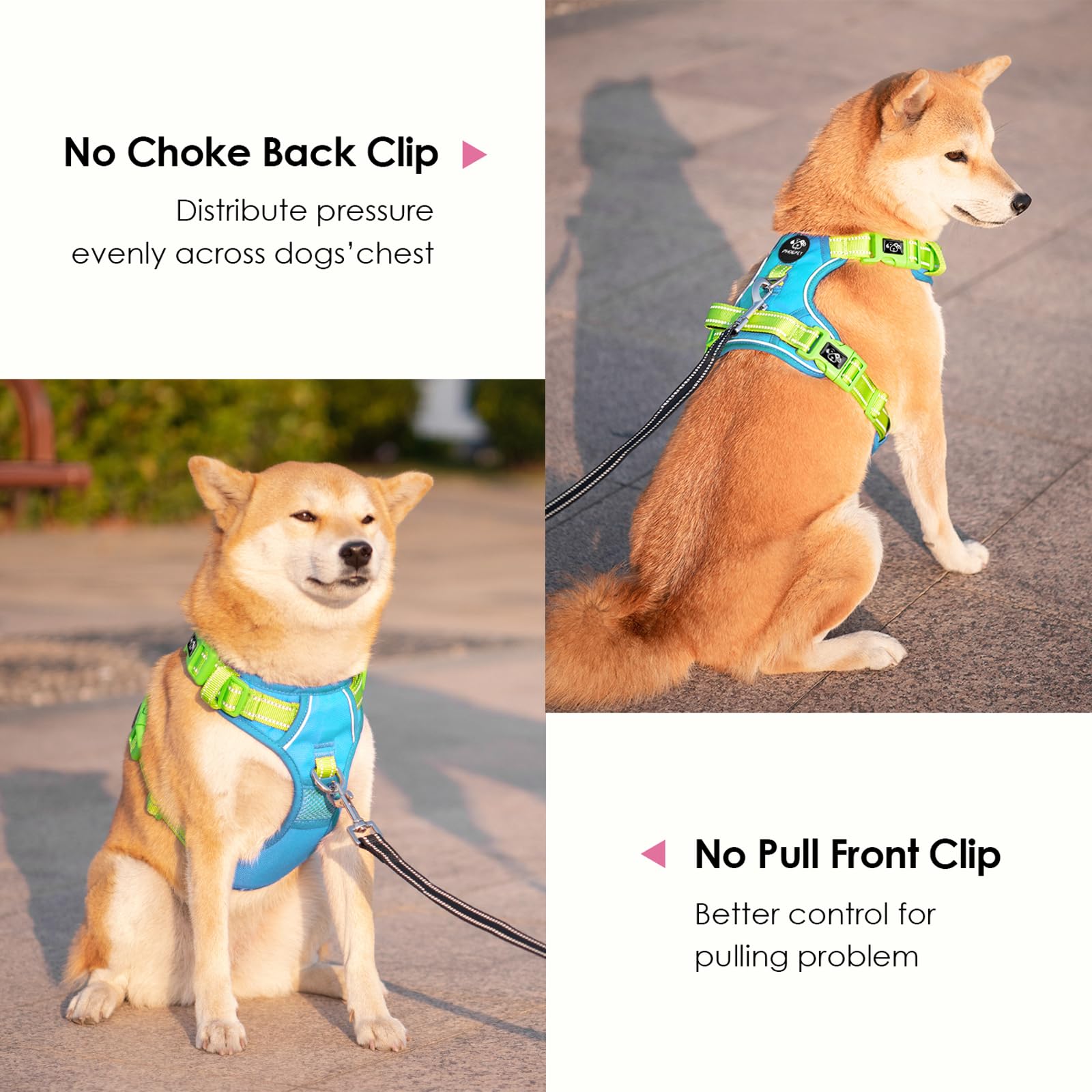 PHOEPET dog harness interior showing the mesh lining and padding.