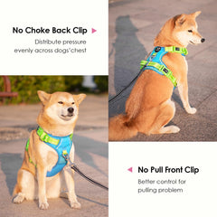 PHOEPET dog harness interior showing the mesh lining and padding.