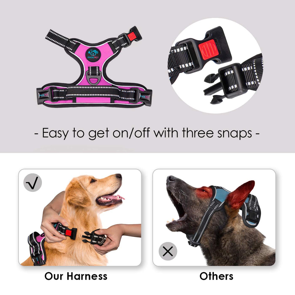 PHOEPET dog harness metal leash loops shown at the chest and back.