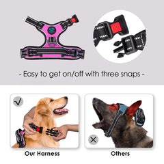 PHOEPET dog harness metal leash loops shown at the chest and back.