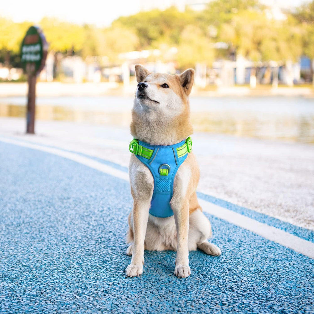 PHOEPET dog harness detail featuring the padded handle on the back.