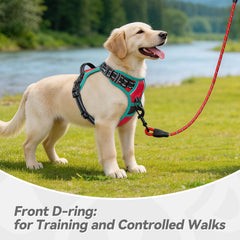 PHOEPET dog harness reflective material shown in close-up.