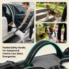 PHOEPET dog harness top metal leash hook shown in close-up.