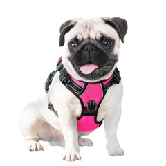 PHOEPET dog harness shown in use during a walk.