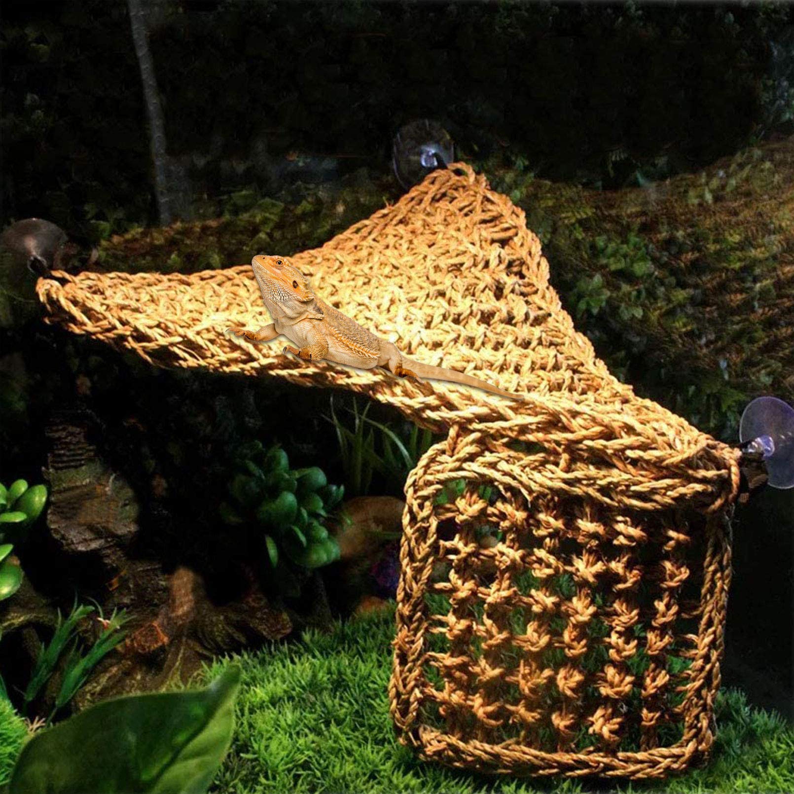 PINVNBY bearded dragon hammock set with suction cups for acrylic or glass walls.