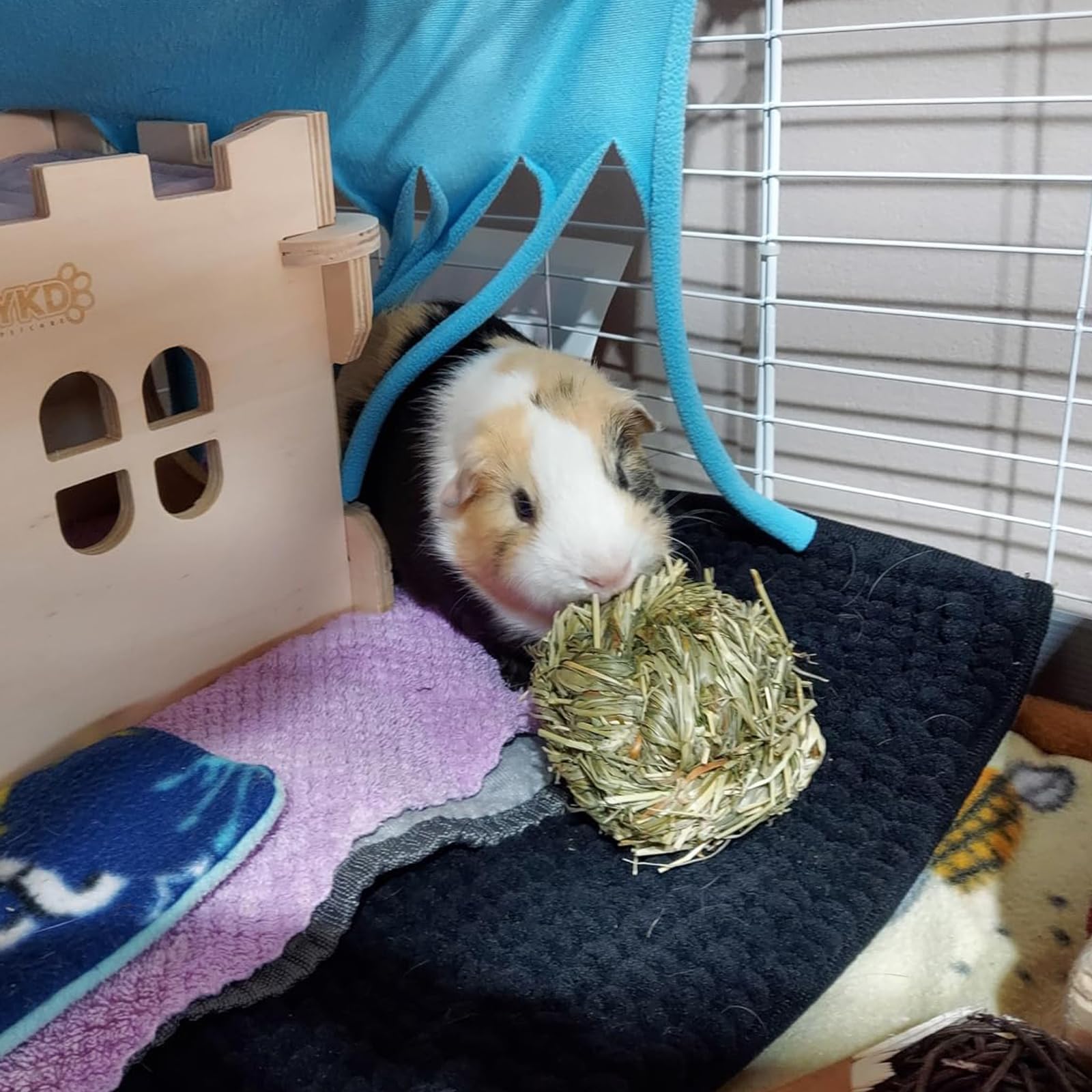 A hamster playing with a PINVNBY grass ball.