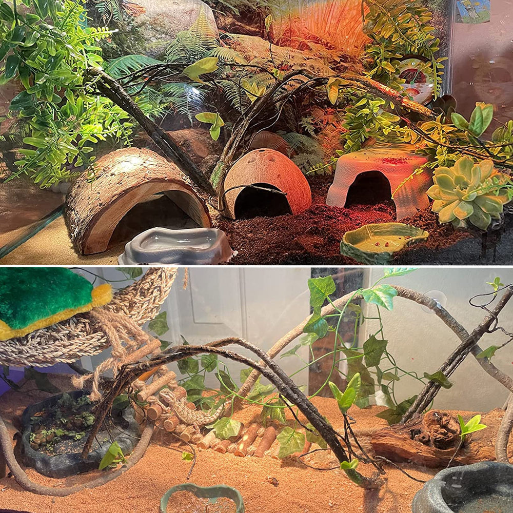 PINVNBY reptile hammock arrangement showing climbing and resting areas inside a terrarium.