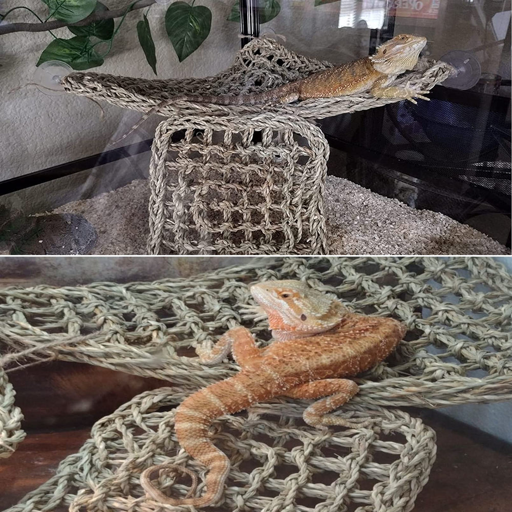 PINVNBY reptile hammock in a triangle shape for a terrarium climbing setup.