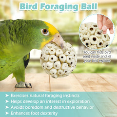 PINVNBY sola bird ball with a treat placed in the center slit.