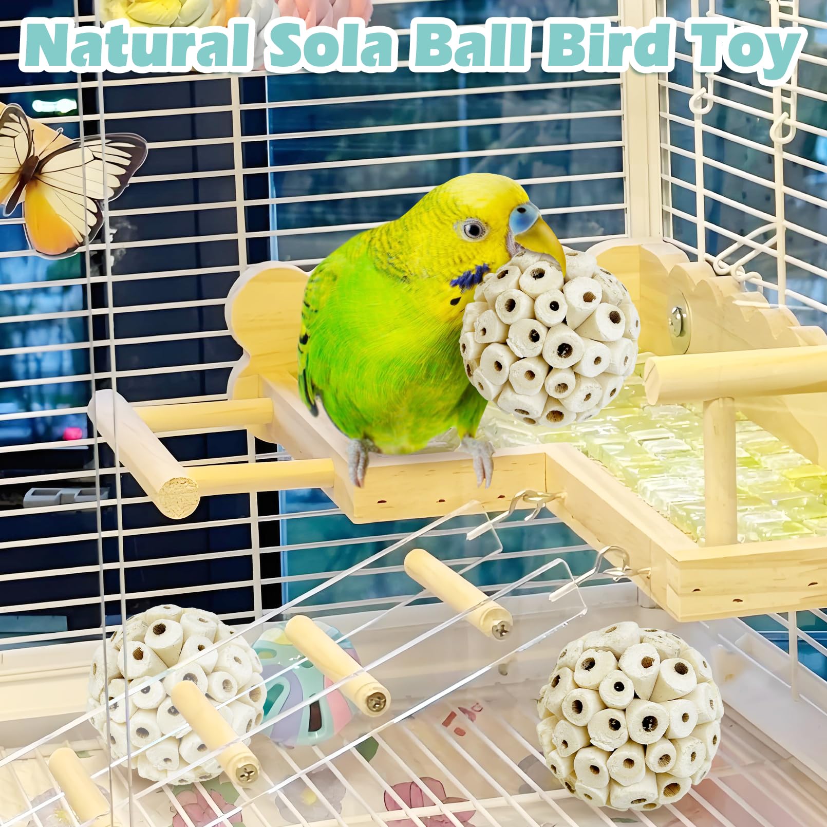 PINVNBY sola bird balls shown during small-bird chewing and play.