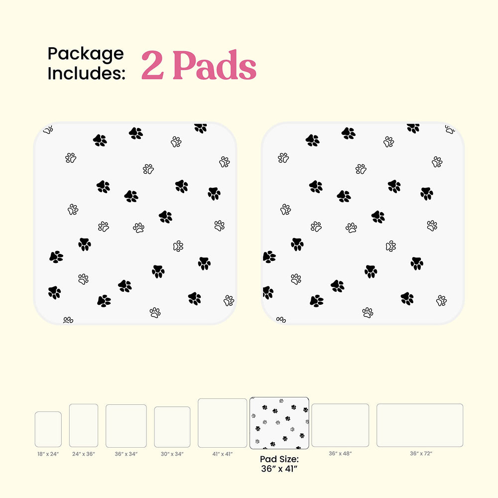 Pitpet dog pee pad demonstrating its moisture-absorbing surface.