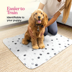 Pitpet dog pee pad showing its four-layer construction.