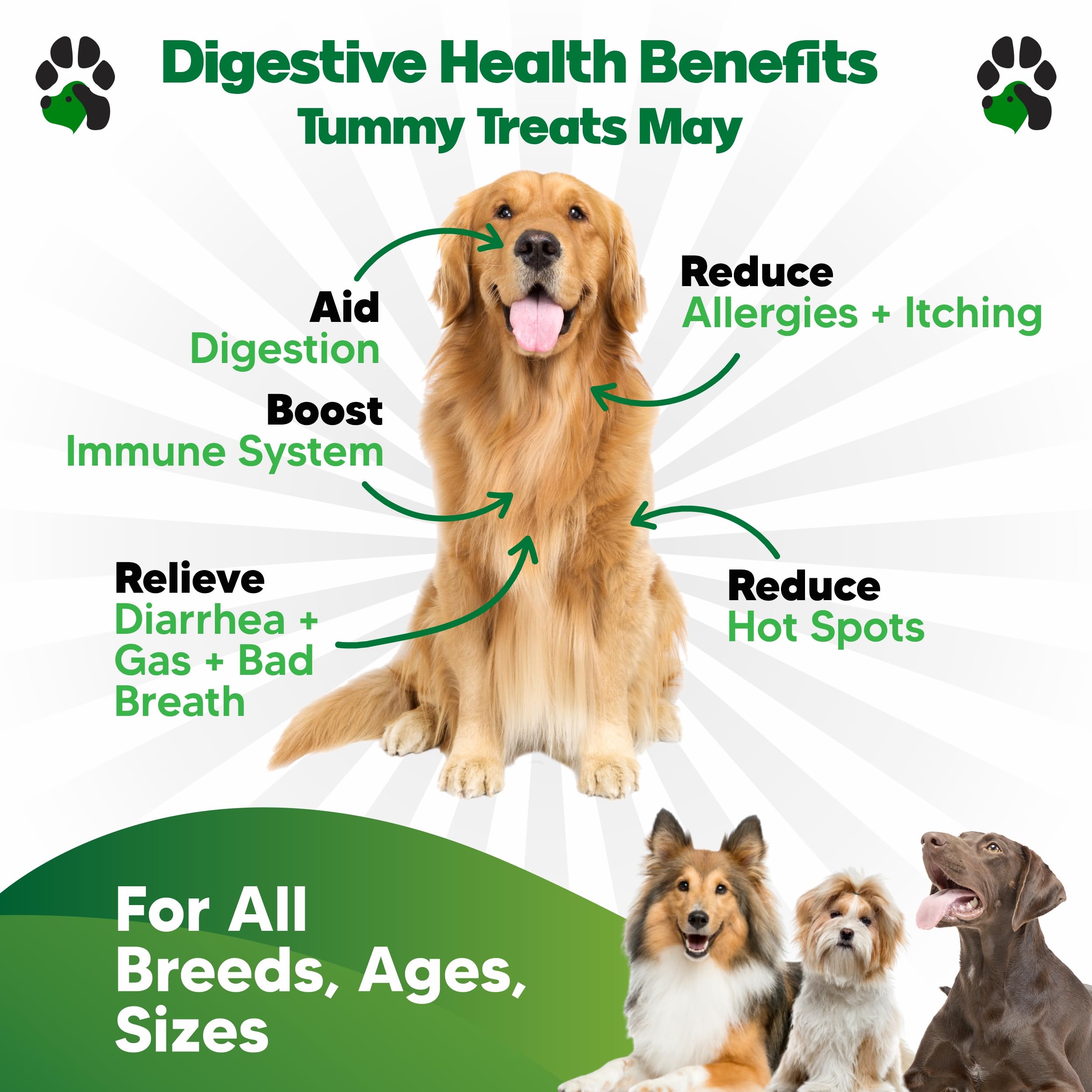 A close view of one planopaws dog probiotic soft chew.
