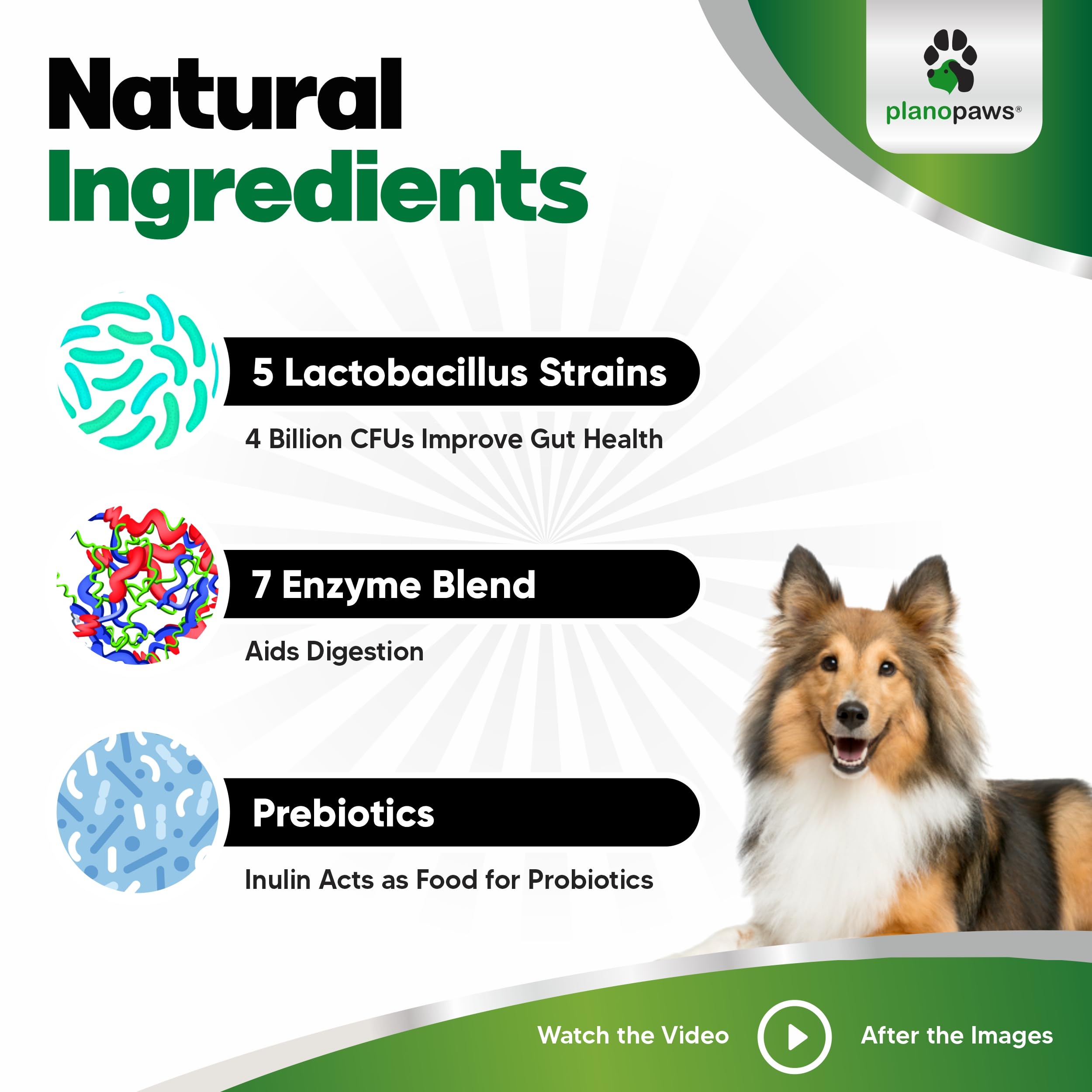 The supplement label on the planopaws dog probiotic chews jar.