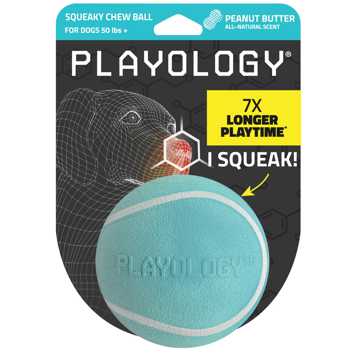 Playology jumbo squeaky chew ball shown from the front.