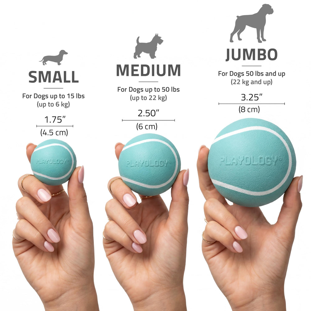 Playology jumbo squeaky chew ball shown as a scented play toy.