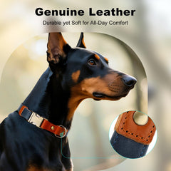 PLUTUS PET dog collar detail showing the smooth adjustable slider.