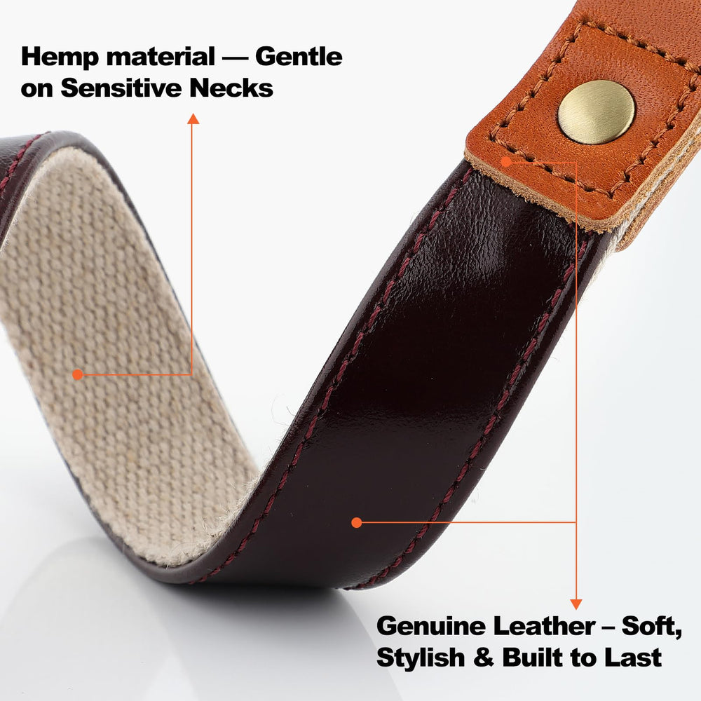 PLUTUS PET dog collar close-up showing the natural hemp texture.