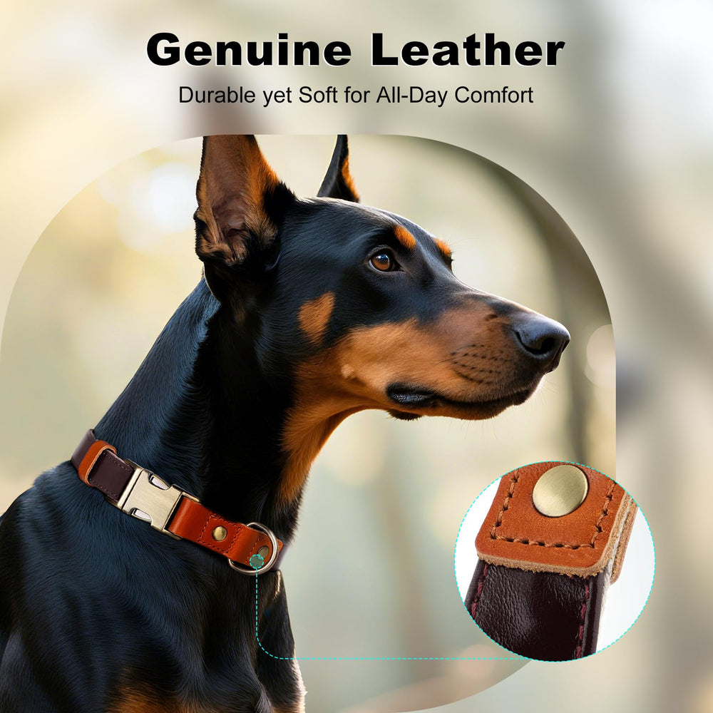 PLUTUS PET dog collar close-up highlighting its genuine leather section.