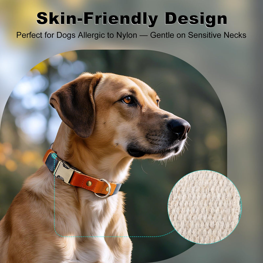 PLUTUS PET dog collar close-up highlighting the genuine leather and natural hemp.