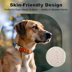 PLUTUS PET dog collar close-up highlighting the genuine leather and natural hemp.