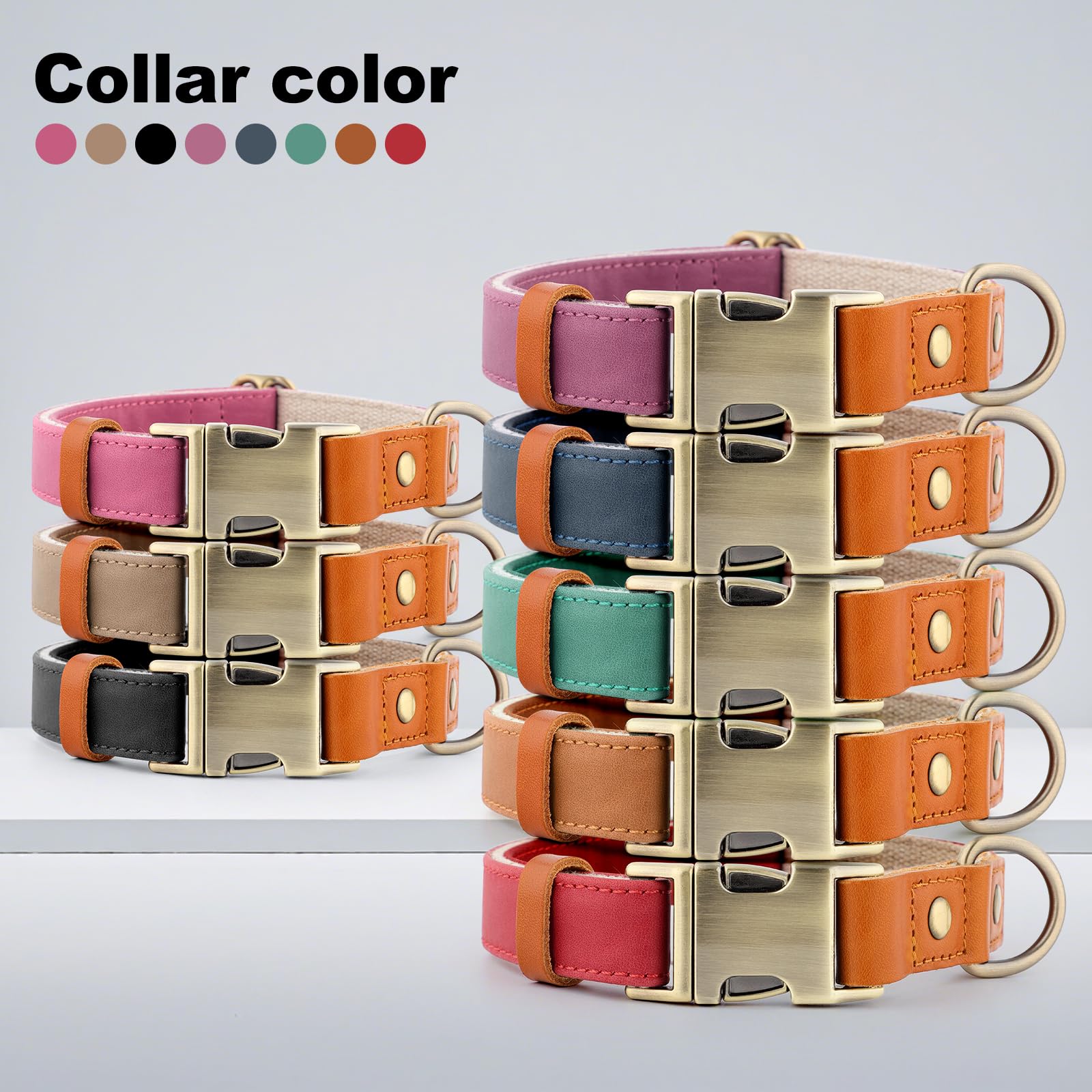 PLUTUS PET dog collar close-up showing its metal hardware.