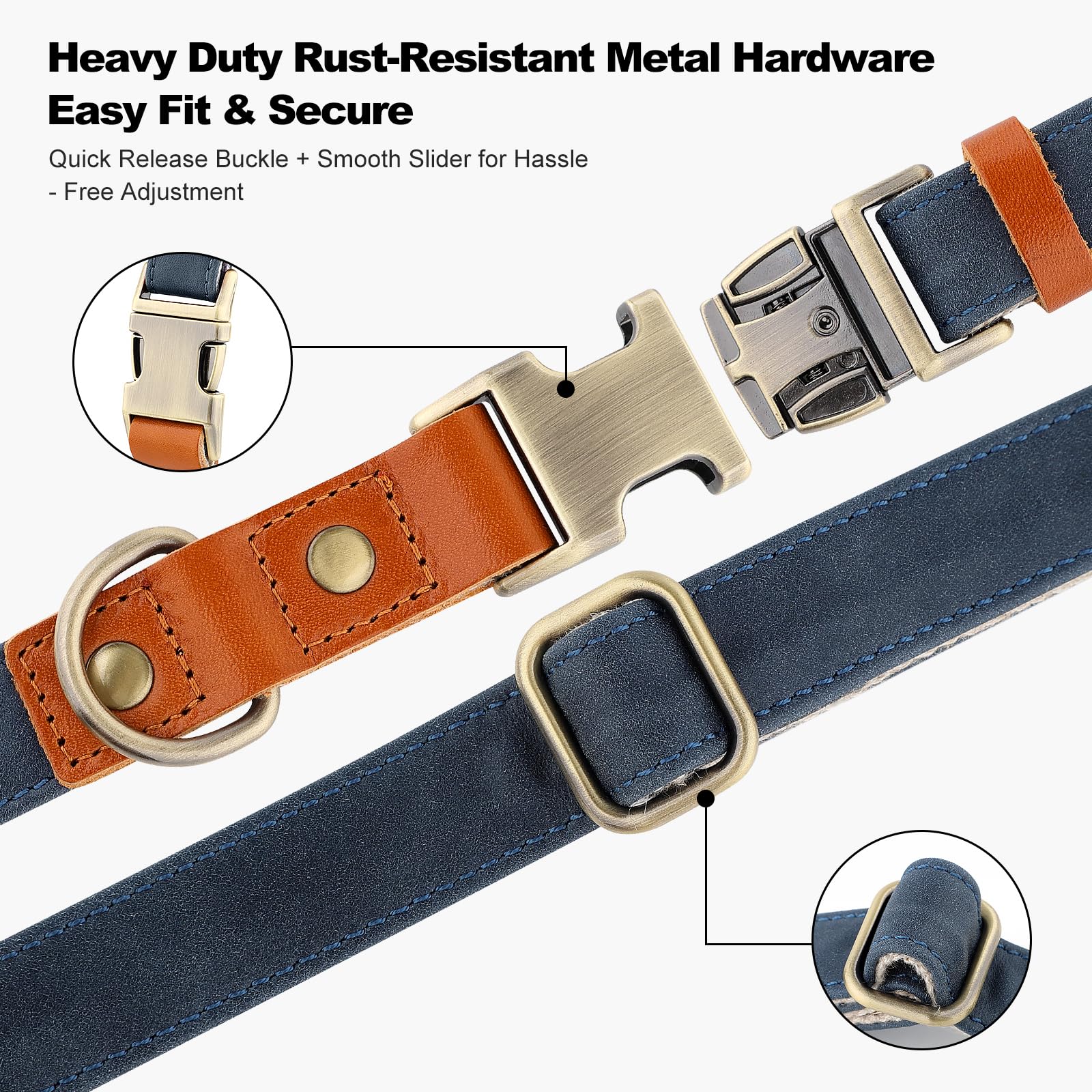 PLUTUS PET dog collar shown on a dog during a walk.