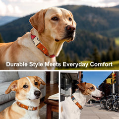 PLUTUS PET dog collar fitted around a dog's neck.