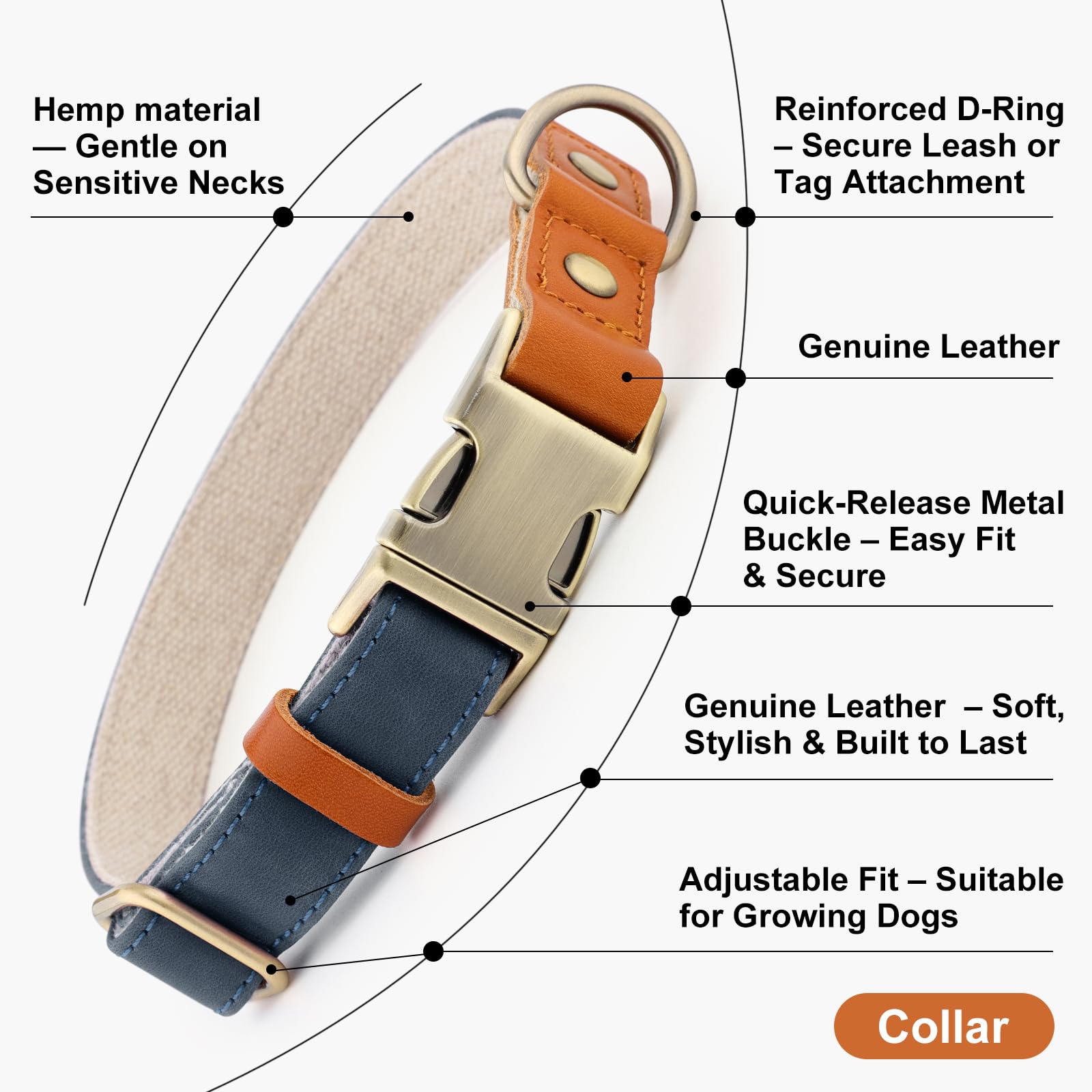 PLUTUS PET dog collar shown from a profile angle to display its design.