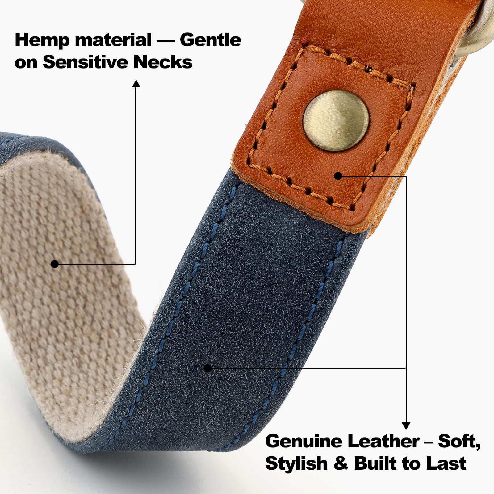PLUTUS PET dog collar close-up showing the quick-release metal side buckle.