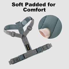 PLUTUS PET dog harness with its adjustable straps visible.