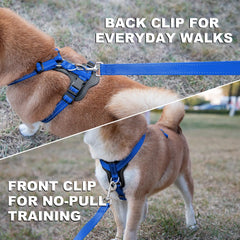 PLUTUS PET dog harness showing its adjustable straps.