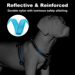 PLUTUS PET dog harness detail showing adjustable straps.