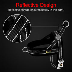 PLUTUS PET dog harness showing the back O-ring.