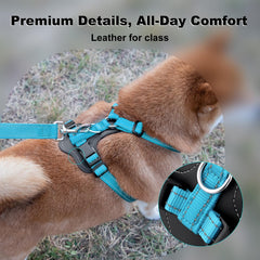 PLUTUS PET dog harness shown from the back.