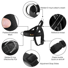 PLUTUS PET dog harness close-up showing the welded D-ring on the chest strap.